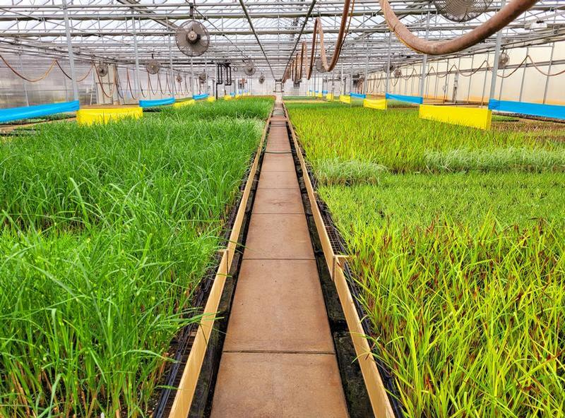 GET Group Inc. Shipping and Growing Facility